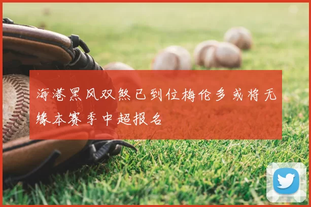 海港黑风双煞已到位梅伦多或将无缘本赛季中超报名