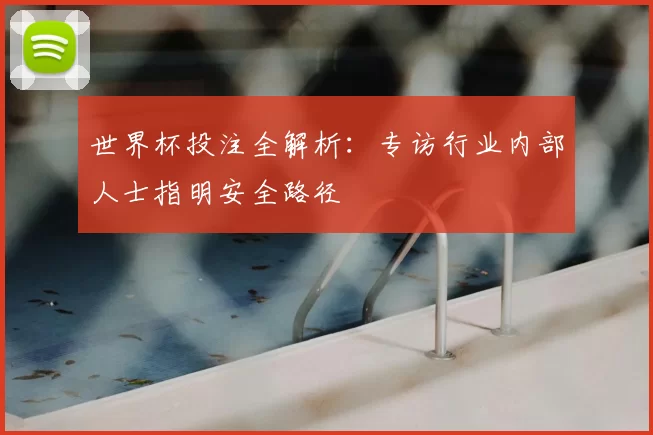 世界杯投注全解析:专访行业内部人士指明安全路径