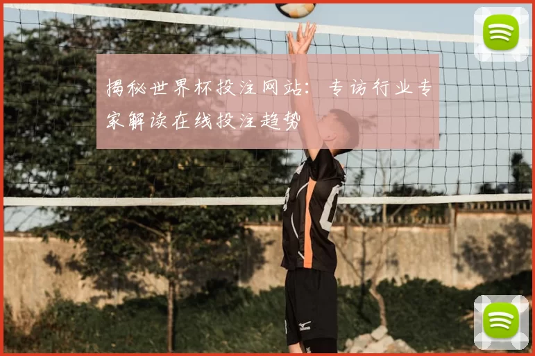 揭秘世界杯投注网站：专访行业专家解读在线投注趋势