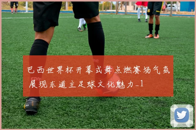 巴西世界杯开幕式舞点燃赛场气氛 展现东道主足球文化魅力_1