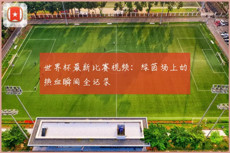 世界杯最新比赛视频：绿茵场上的热血瞬间全记录