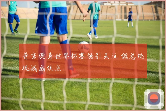 普京现身世界杯赛场引关注 俄总统观战成焦点