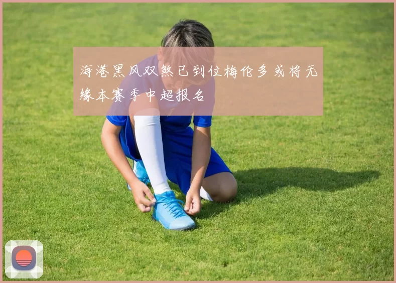 海港黑风双煞已到位梅伦多或将无缘本赛季中超报名